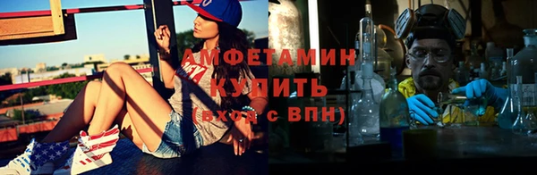 гидра Кедровый
