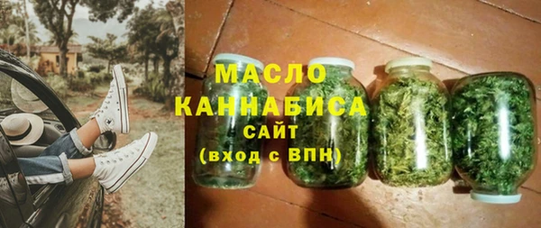 гидра Кедровый