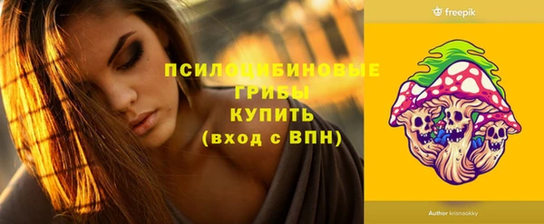 гидра Кедровый