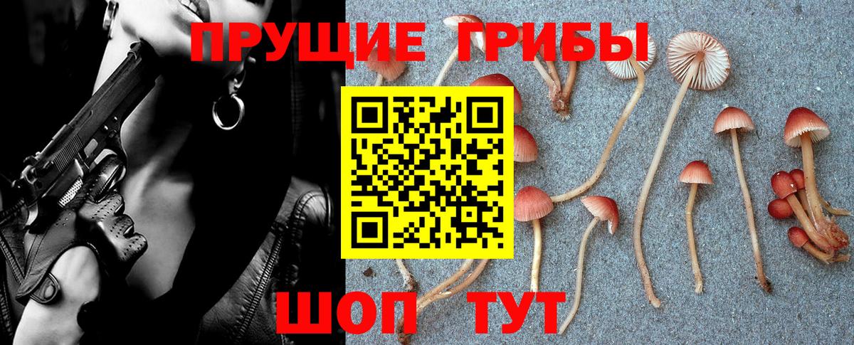 Марихуана  Мяу-Мяу  MDMA  Новокубанск  Купить наркотик  А ПВП  Марихуана  Хэш  КОКАИН  Вход с VPN  COCAIN 