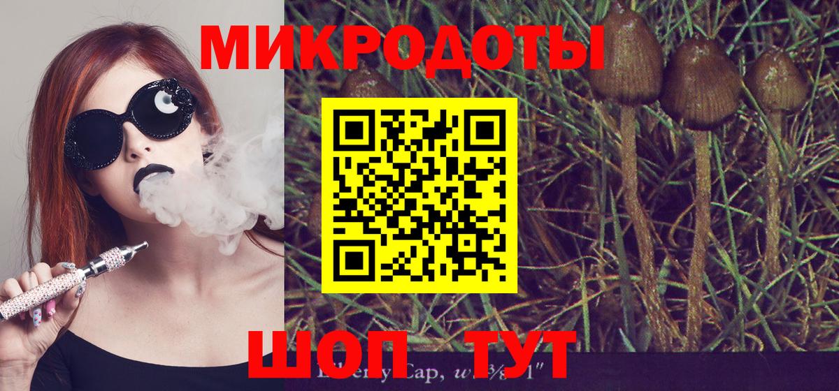 Новокубанск  Псилоцибиновые грибы мицелий  Вход с VPN 