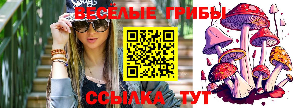 Галлюциногенные грибы ЛСД Новокубанск
