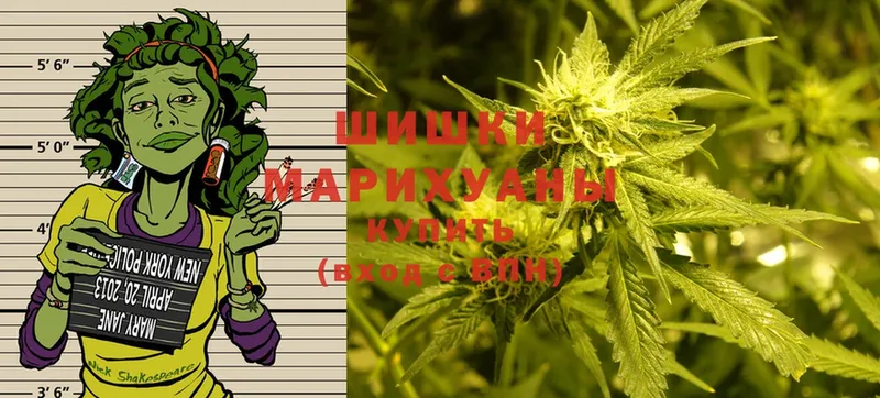 Бошки марихуана LSD WEED  Новокубанск 